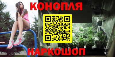 бошки Краснодар