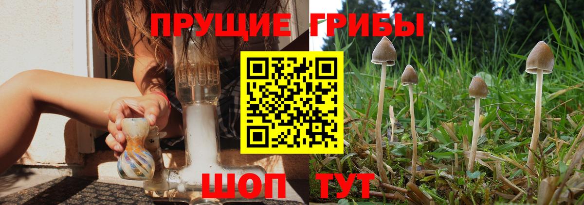 Псилоцибиновые грибы ЛСД  Вход с VPN  сколько стоит  Кохма 